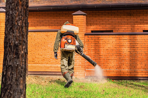 Trusted Mosquito Control service in Wyndmoor, PA - Nex Pest Control